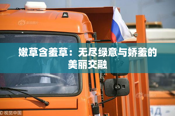 嫩草含羞草：无尽绿意与娇羞的美丽交融