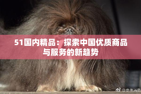 51国内精品：探索中国优质商品与服务的新趋势