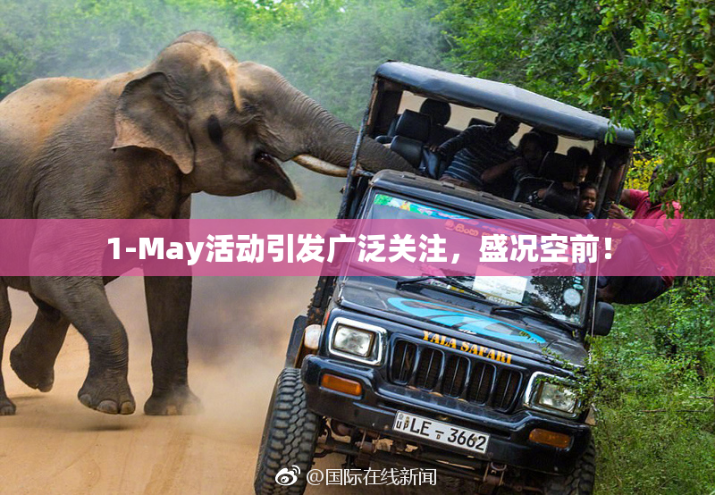 1-May活动引发广泛关注，盛况空前！