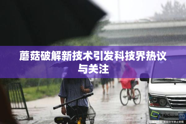 蘑菇破解新技术引发科技界热议与关注