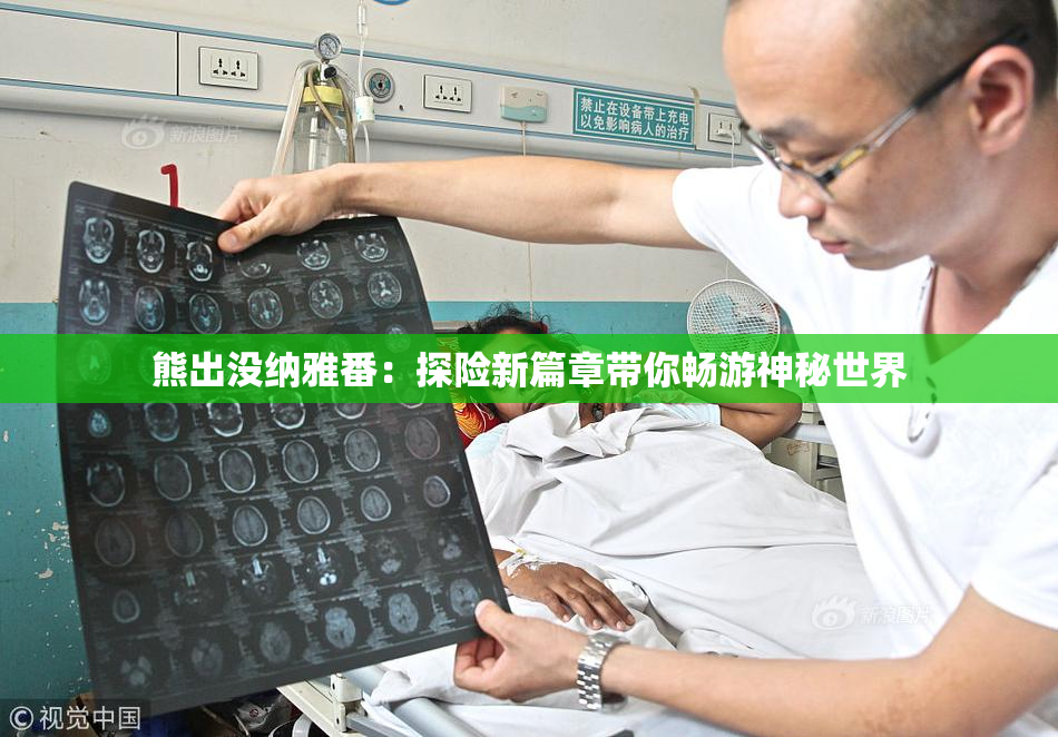 熊出没纳雅番：探险新篇章带你畅游神秘世界