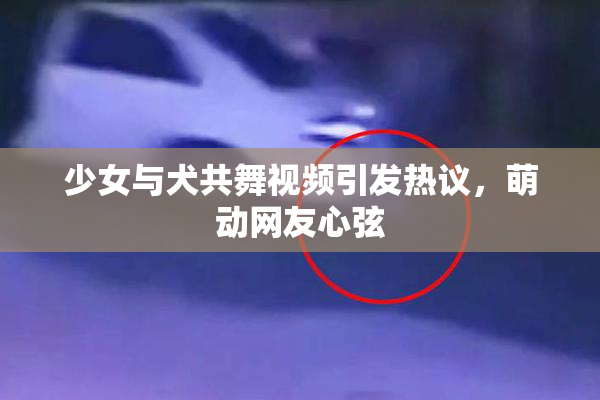 少女与犬共舞视频引发热议，萌动网友心弦