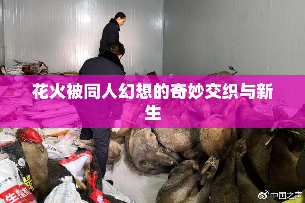 花火被同人幻想的奇妙交织与新生