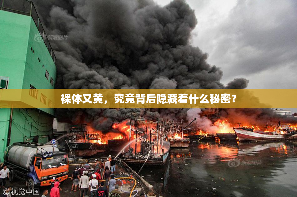 裸体又黄，究竟背后隐藏着什么秘密？