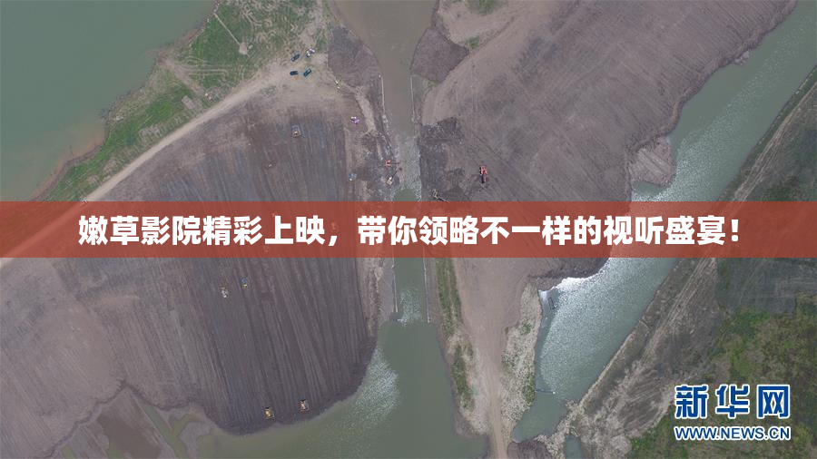 嫩草影院精彩上映，带你领略不一样的视听盛宴！