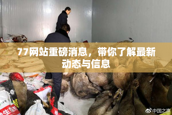 77网站重磅消息，带你了解最新动态与信息