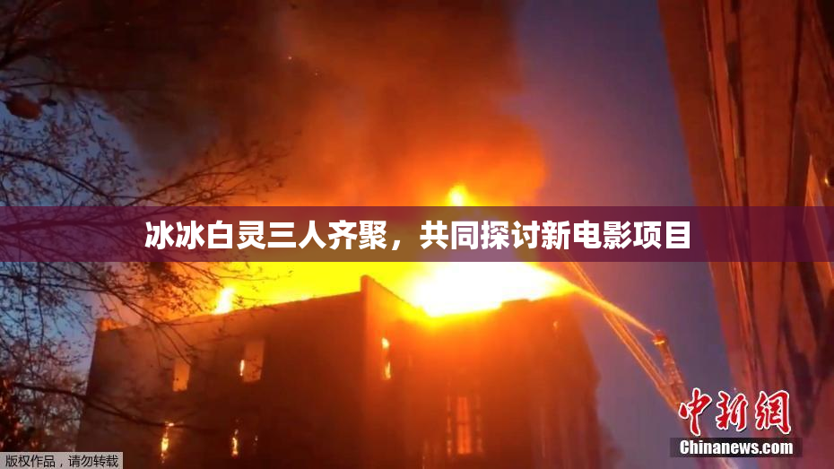 冰冰白灵三人齐聚，共同探讨新电影项目