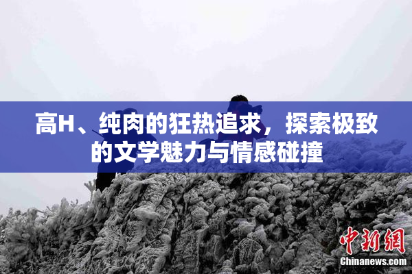 高H、纯肉的狂热追求，探索极致的文学魅力与情感碰撞