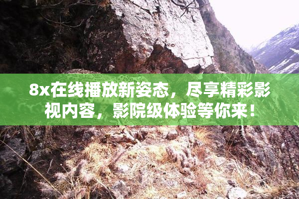 8x在线播放新姿态，尽享精彩影视内容，影院级体验等你来！