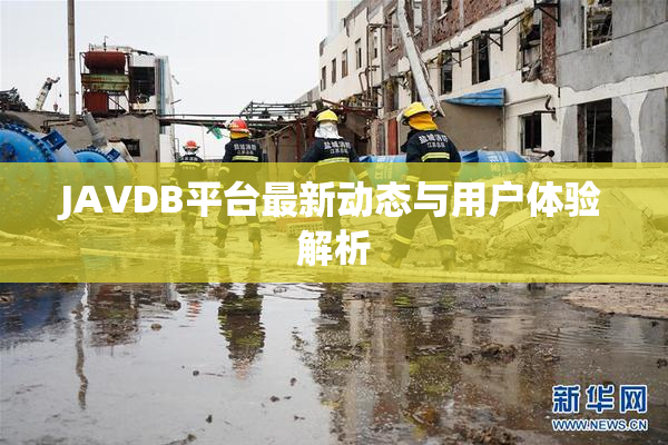 JAVDB平台最新动态与用户体验解析