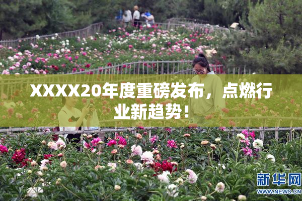 XXXX20年度重磅发布，点燃行业新趋势！
