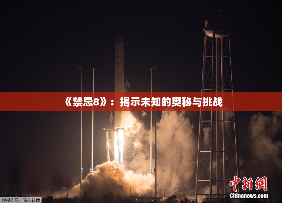 《禁忌8》：揭示未知的奥秘与挑战