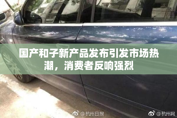 国产和子新产品发布引发市场热潮，消费者反响强烈