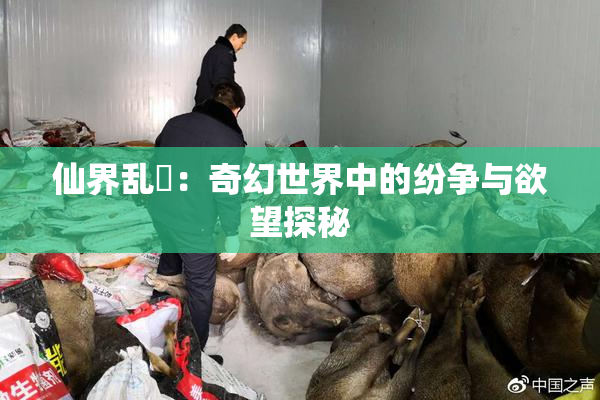 仙界乱婬：奇幻世界中的纷争与欲望探秘