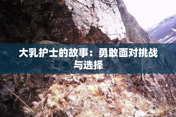 大乳护士的故事：勇敢面对挑战与选择