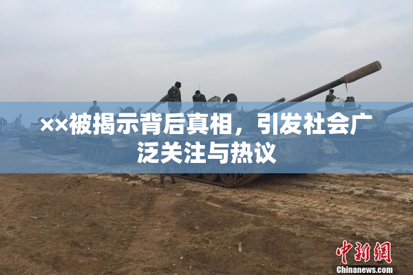 ××被揭示背后真相，引发社会广泛关注与热议