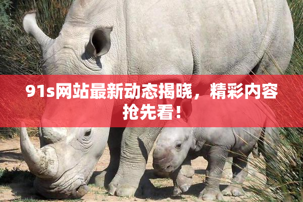91s网站最新动态揭晓，精彩内容抢先看！