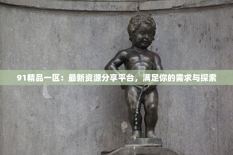 91精品一区：最新资源分享平台，满足你的需求与探索