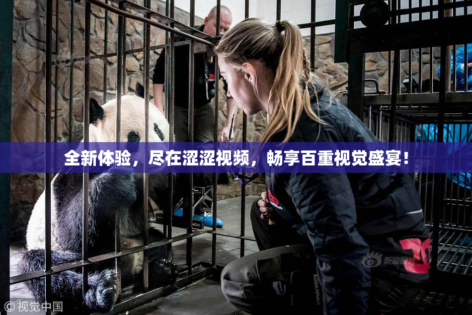 全新体验，尽在涩涩视频，畅享百重视觉盛宴！