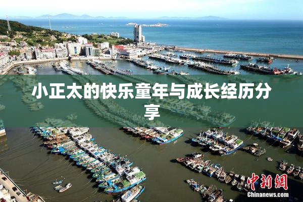 小正太的快乐童年与成长经历分享