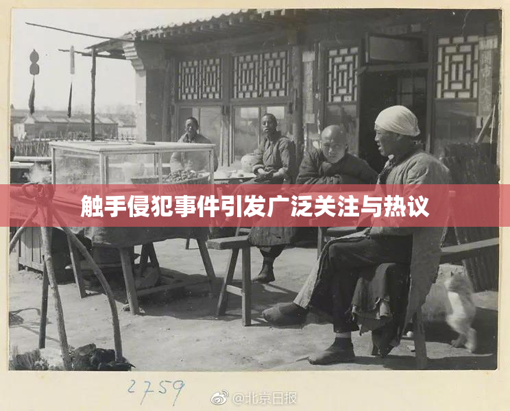 触手侵犯事件引发广泛关注与热议