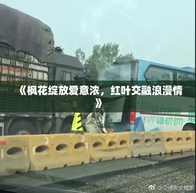 《枫花绽放爱意浓，红叶交融浪漫情》