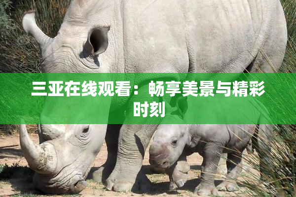 三亚在线观看：畅享美景与精彩时刻