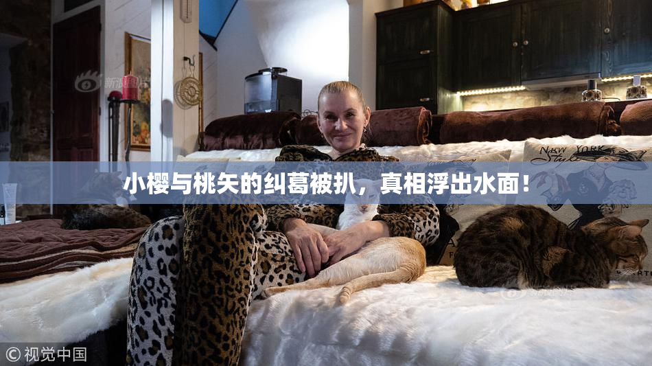 小樱与桃矢的纠葛被扒，真相浮出水面！
