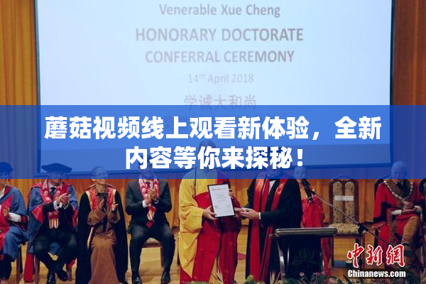 蘑菇视频线上观看新体验，全新内容等你来探秘！