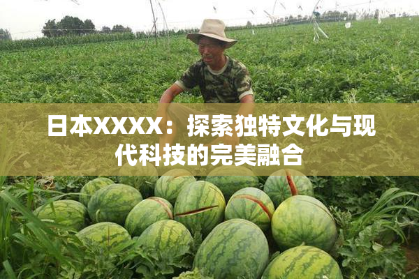 日本XXXX：探索独特文化与现代科技的完美融合