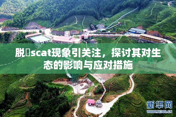 脱糞scat现象引关注，探讨其对生态的影响与应对措施