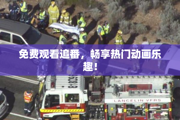 免费观看追番，畅享热门动画乐趣！