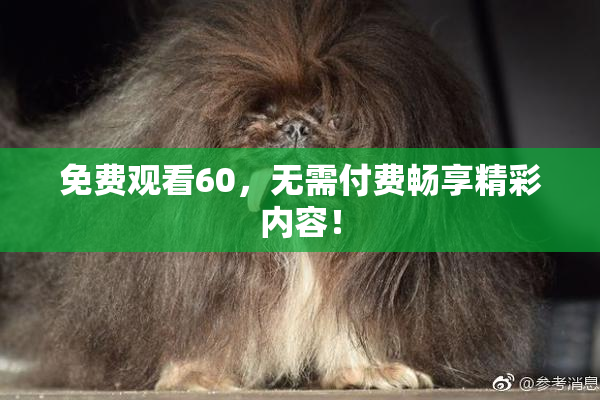 免费观看60，无需付费畅享精彩内容！
