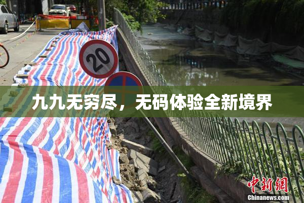 九九无穷尽，无码体验全新境界