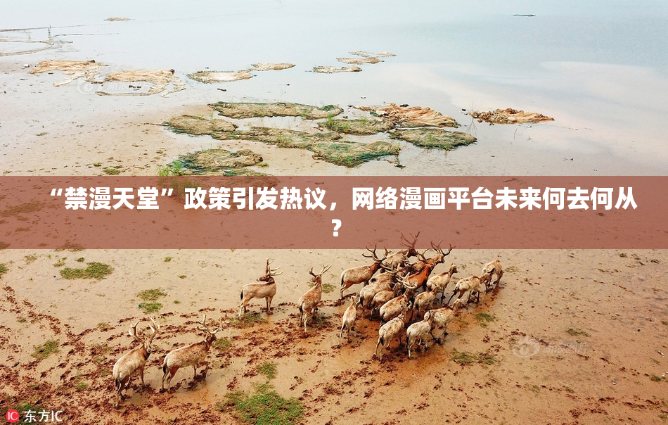 “禁漫天堂”政策引发热议，网络漫画平台未来何去何从？