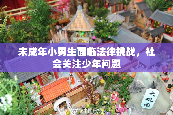 未成年小男生面临法律挑战，社会关注少年问题