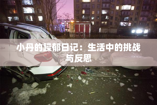 小丹的躁郁日记：生活中的挑战与反思