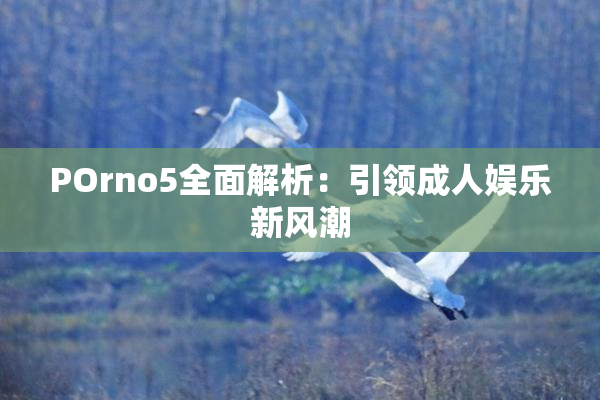 POrno5全面解析：引领成人娱乐新风潮