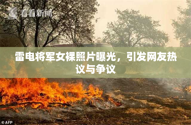 雷电将军女裸照片曝光，引发网友热议与争议
