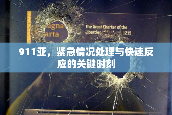 911亚，紧急情况处理与快速反应的关键时刻
