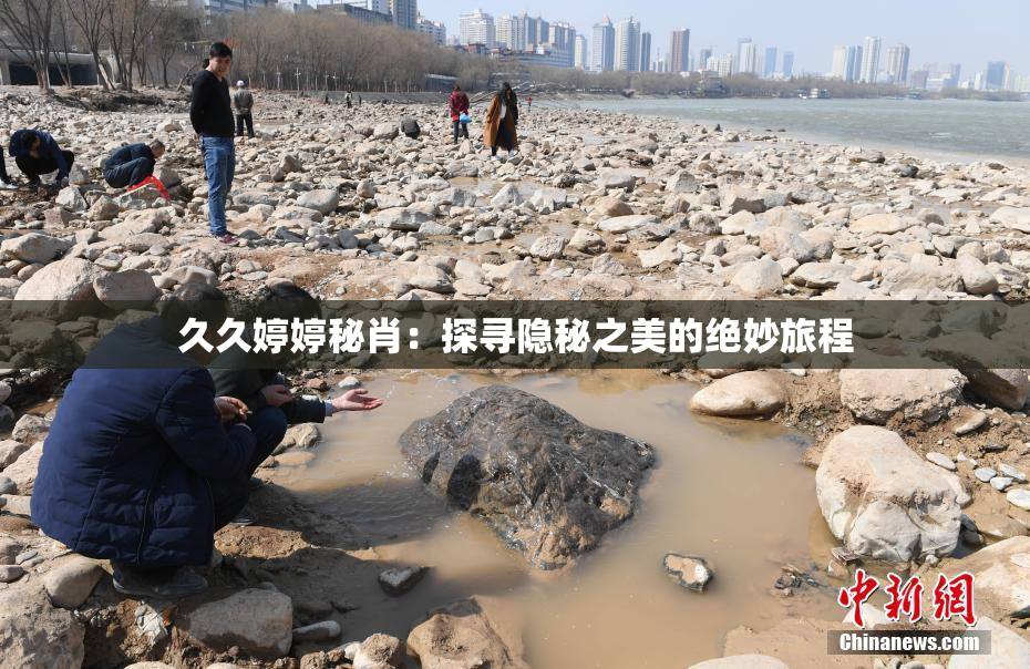 久久婷婷秘肖：探寻隐秘之美的绝妙旅程