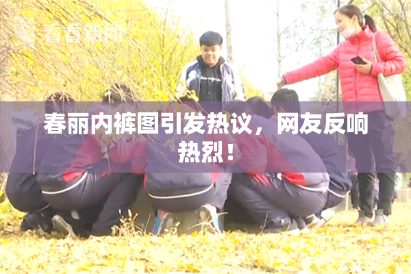 春丽内裤图引发热议，网友反响热烈！
