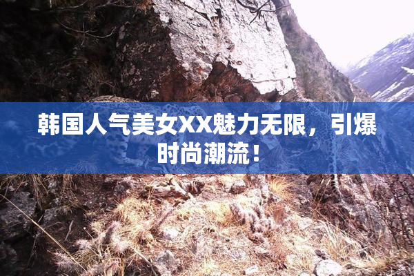 韩国人气美女XX魅力无限，引爆时尚潮流！