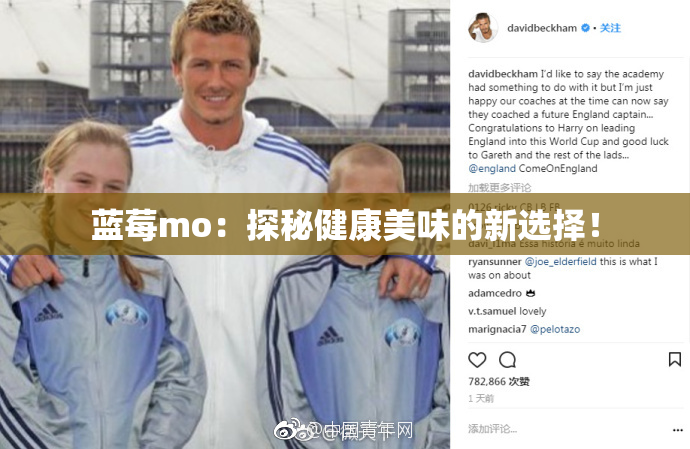 蓝莓mo：探秘健康美味的新选择！