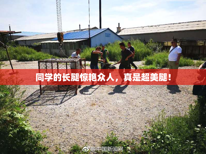 同学的长腿惊艳众人，真是超美腿！