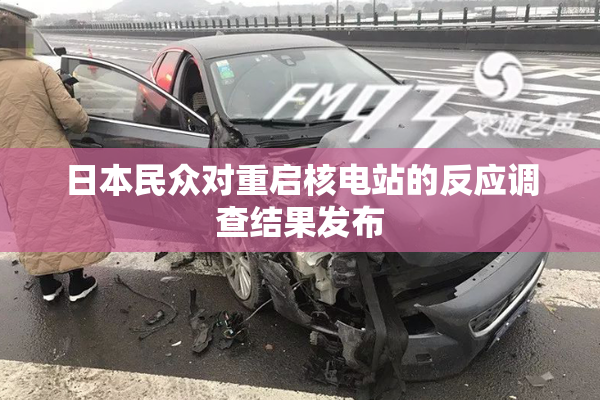日本民众对重启核电站的反应调查结果发布