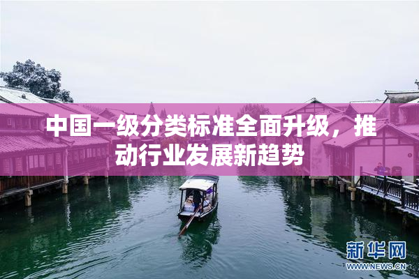 中国一级分类标准全面升级，推动行业发展新趋势