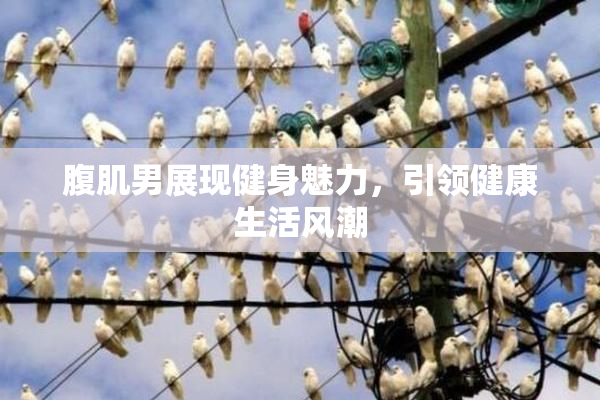 腹肌男展现健身魅力，引领健康生活风潮