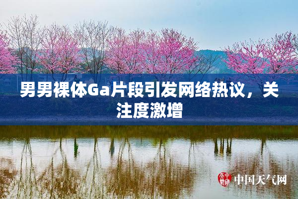 男男裸体Ga片段引发网络热议，关注度激增