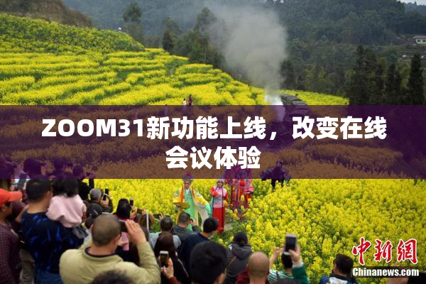 ZOOM31新功能上线，改变在线会议体验